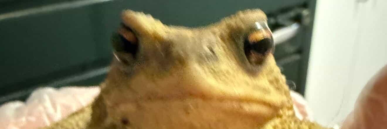 melsprit7's profile banner image