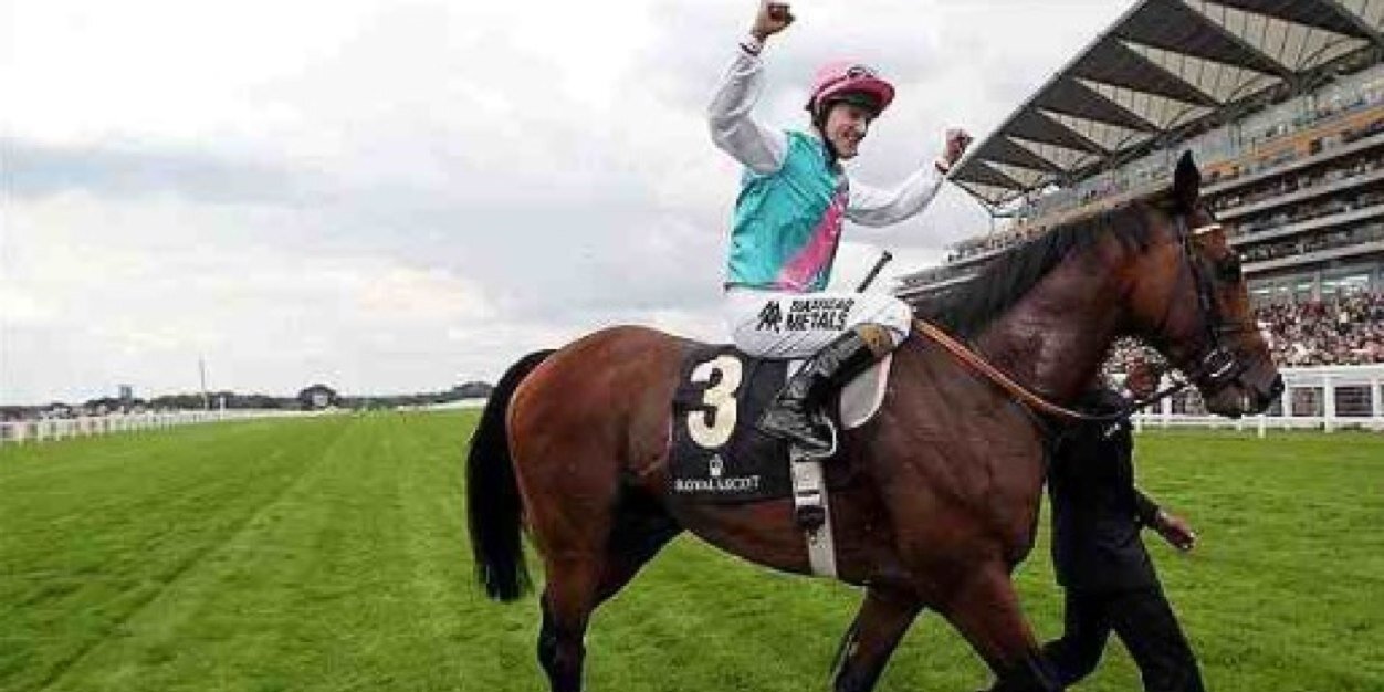 TippingTipster's profile banner image