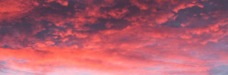 Amranneey's profile banner image