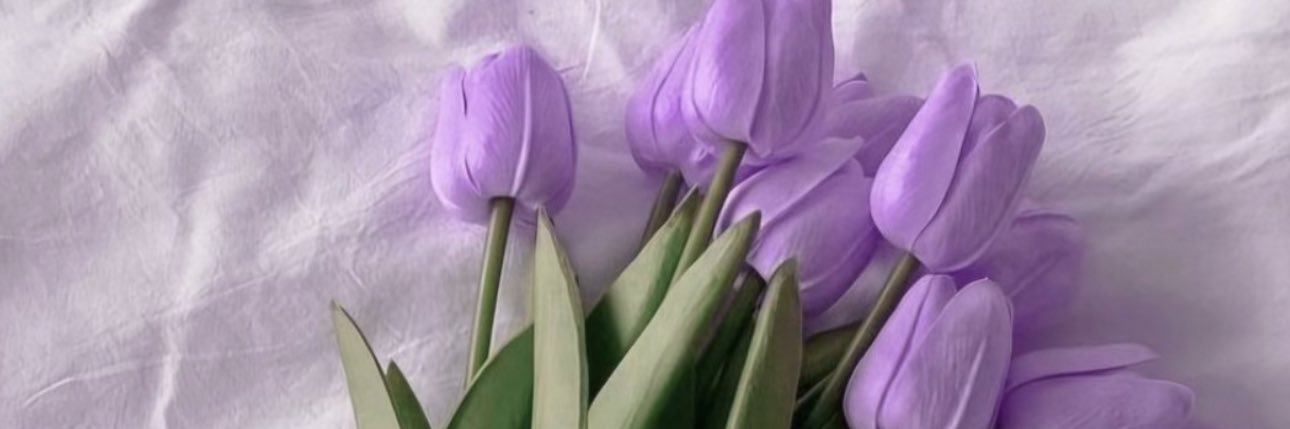 Val34lpz's profile banner image