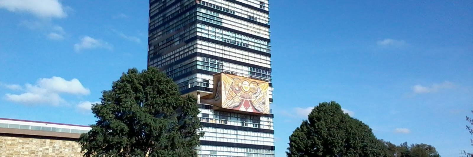 Yanin Alfaro López banner