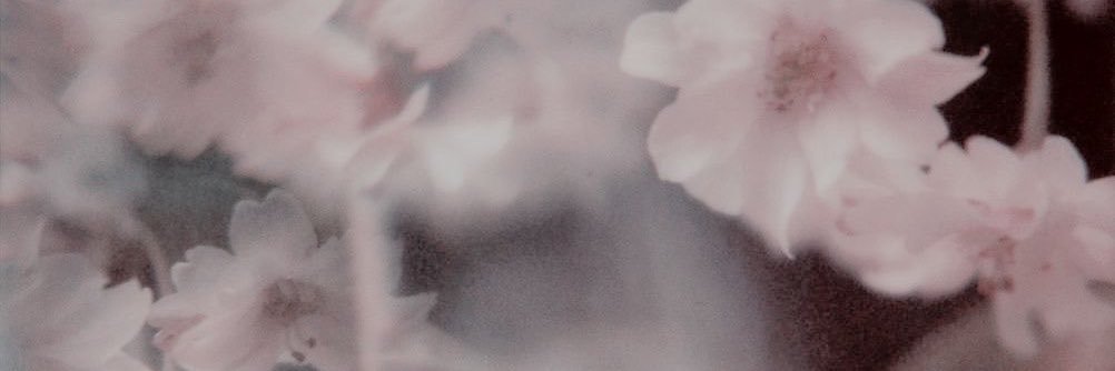 thinkingboutdwt's profile banner image