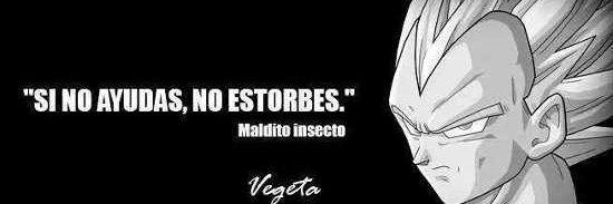 Ou_Vegeta's profile banner image