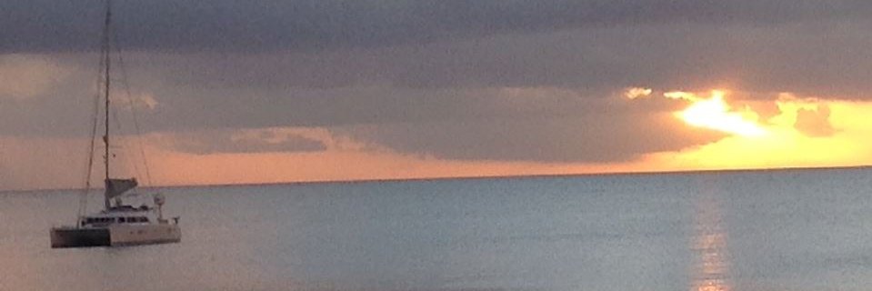 SamLTanner's profile banner image