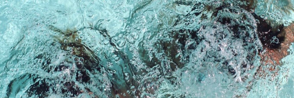 maría alfaro banner