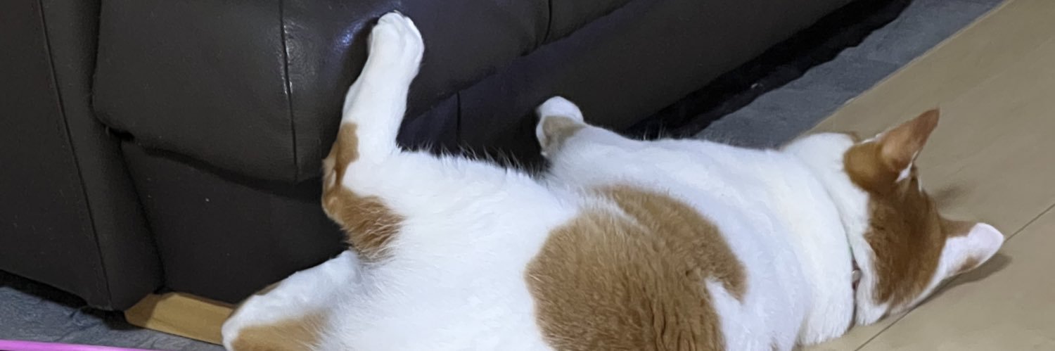 レミー 愛猫脱走 捜索専用アカウント🐱 banner