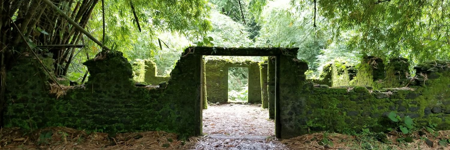 Martay Monroe banner