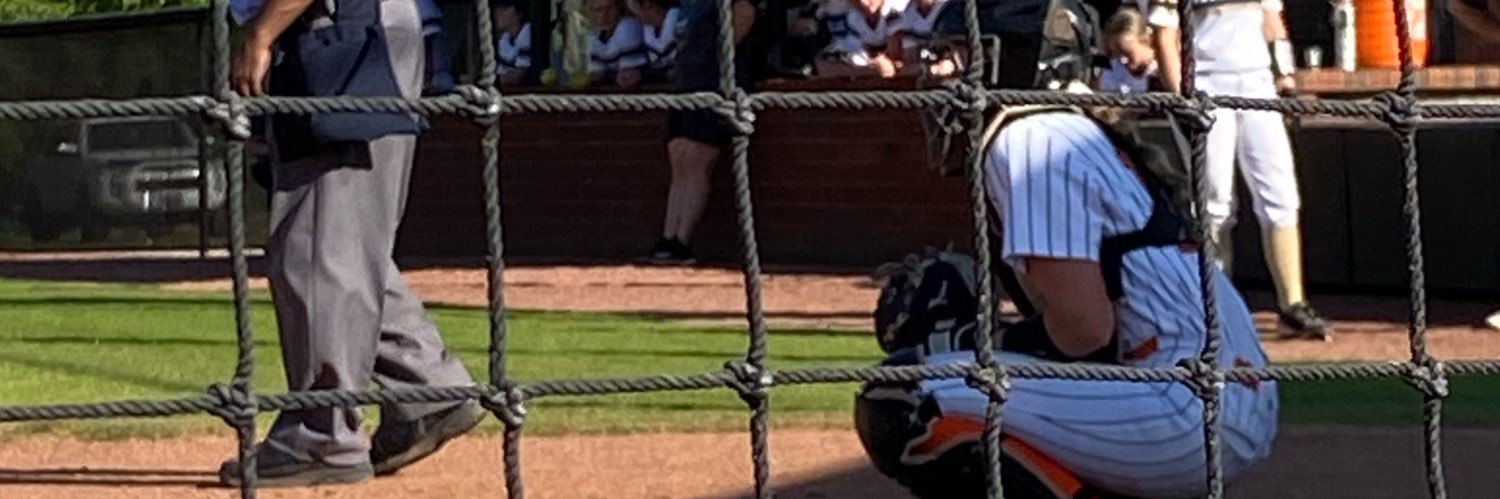 Mollie Hanson's banner