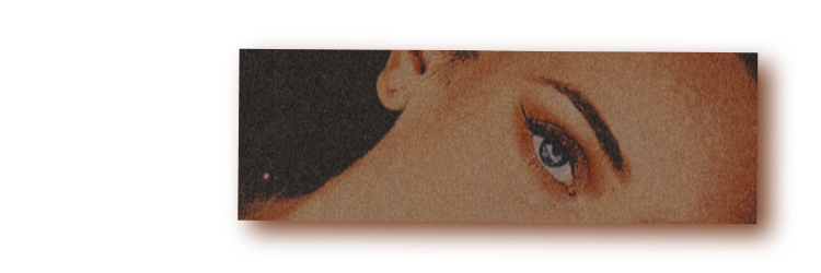 — ˚.* 𝐀𝐂𝐀𝐃𝐄𝐌𝐈𝐀 banner