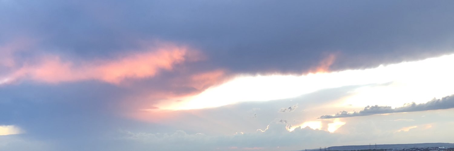 theslymnn's profile banner image