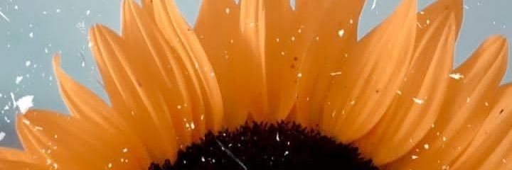 awalker_'s profile banner image