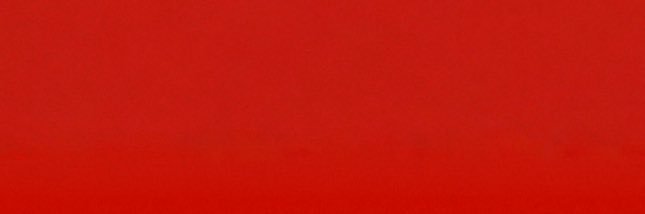 Puma's banner
