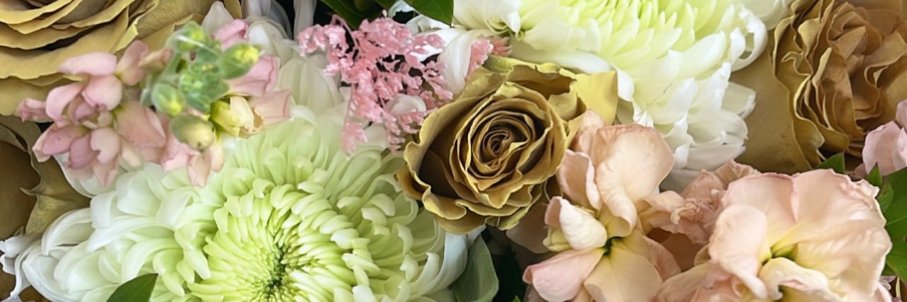 rosieceja's profile banner image