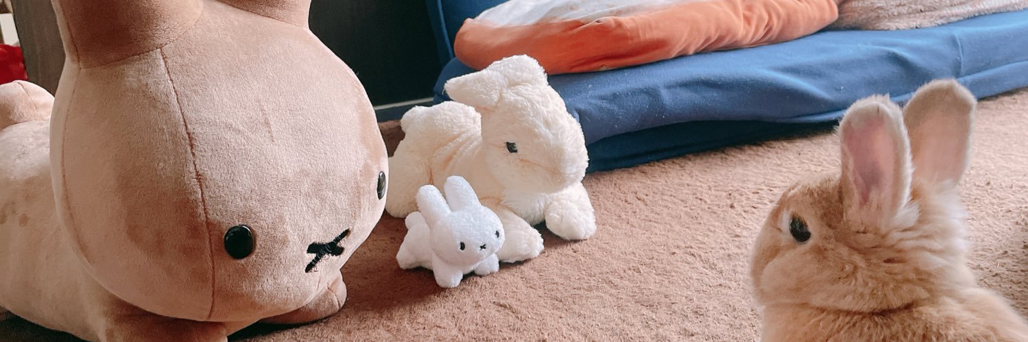 うさぎのほの🥕's banner