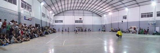 Inst Grilli Handball banner