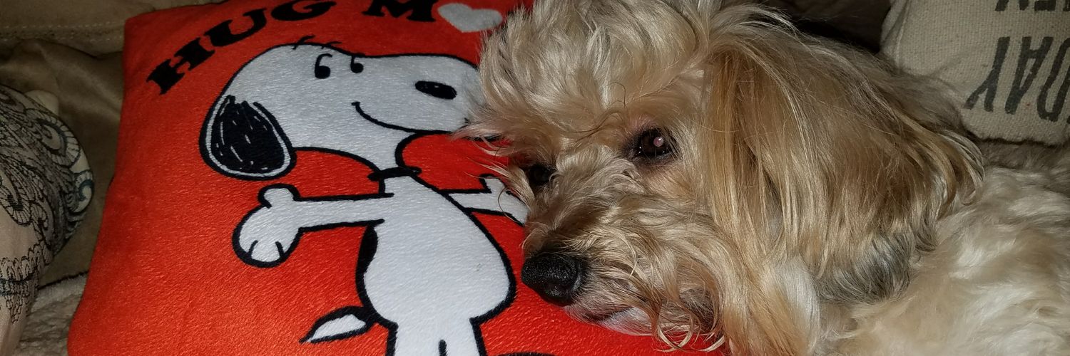 drwear's profile banner image