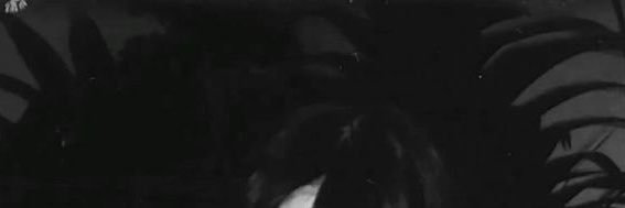 ii_vco's profile banner image