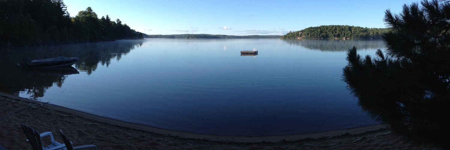 Paul Ferguson banner