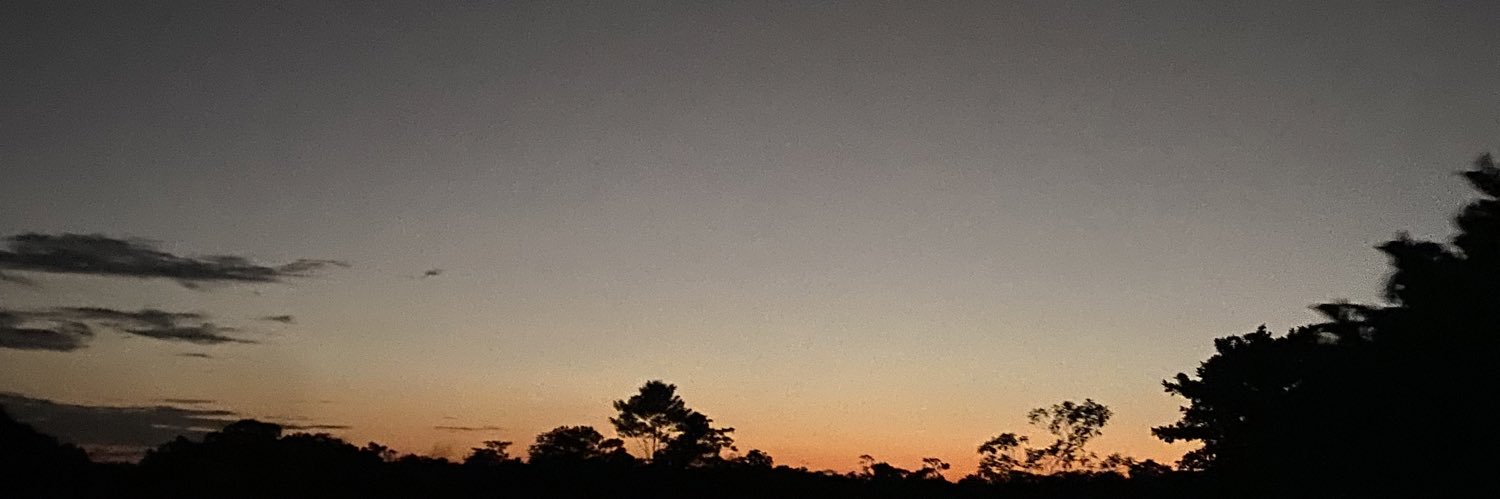 valeriacadena_'s profile banner image