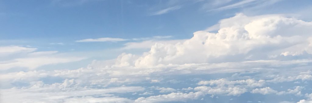 Bella banner