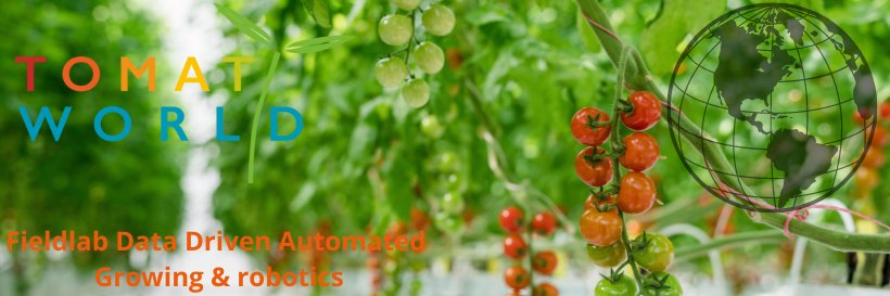 TomatoworldNL's profile banner image