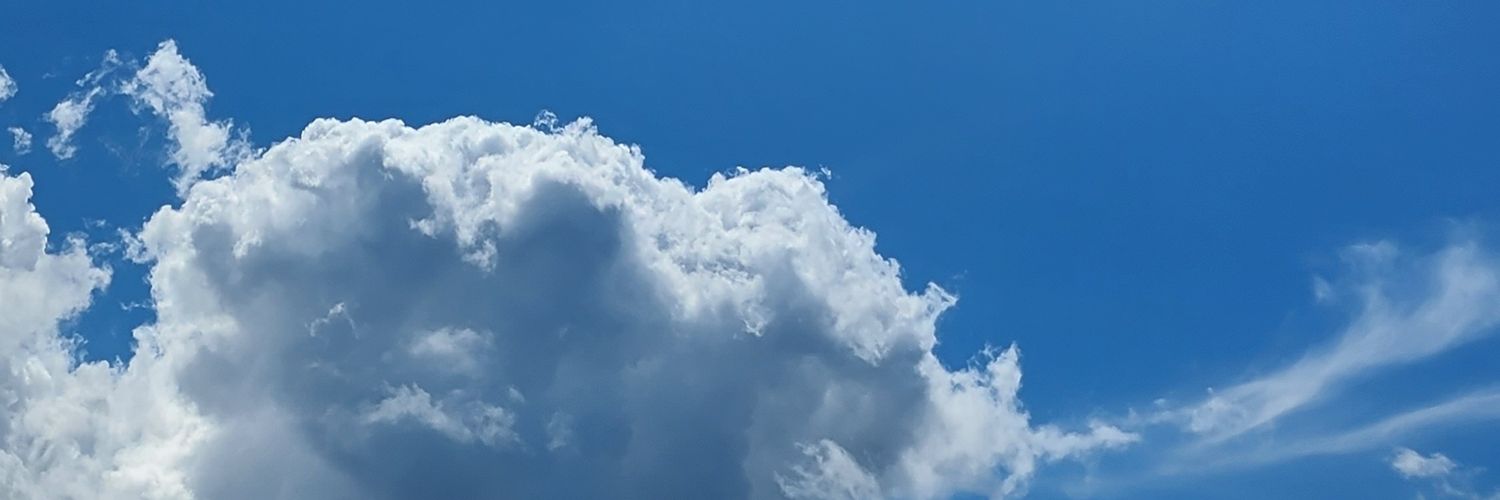 바리보 banner
