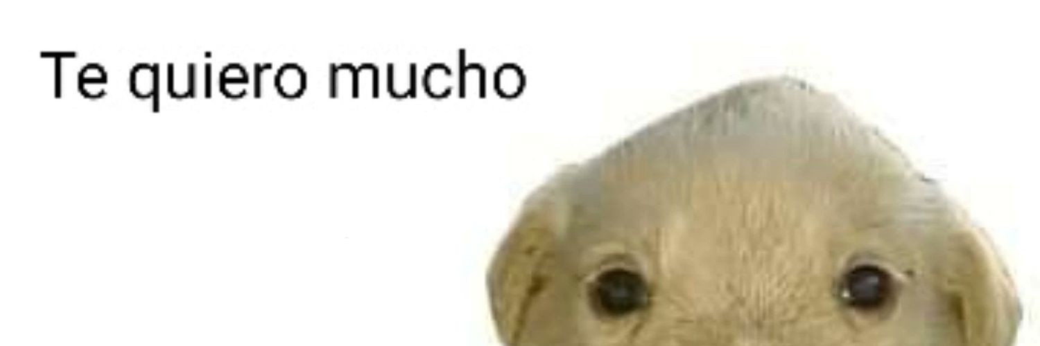 rockoshadow's profile banner image