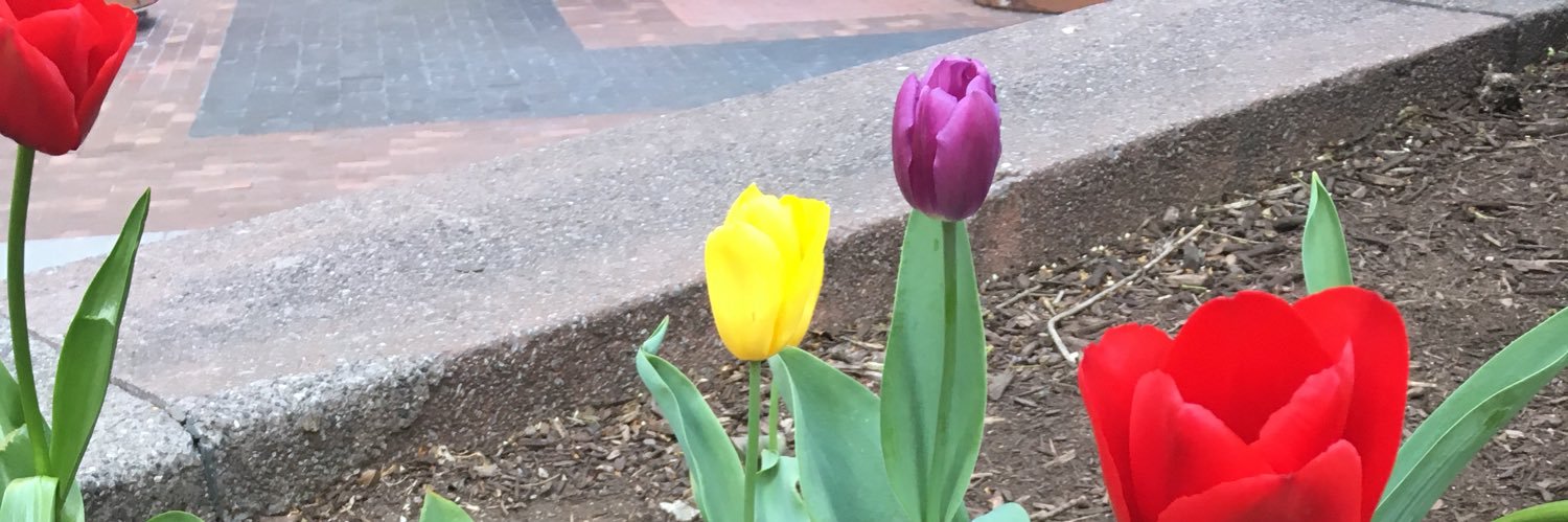 Janell Regimbal banner