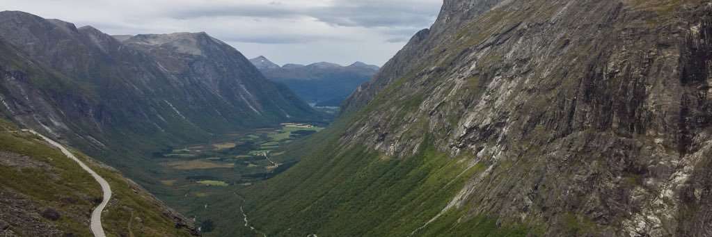 EliKamerow's profile banner image
