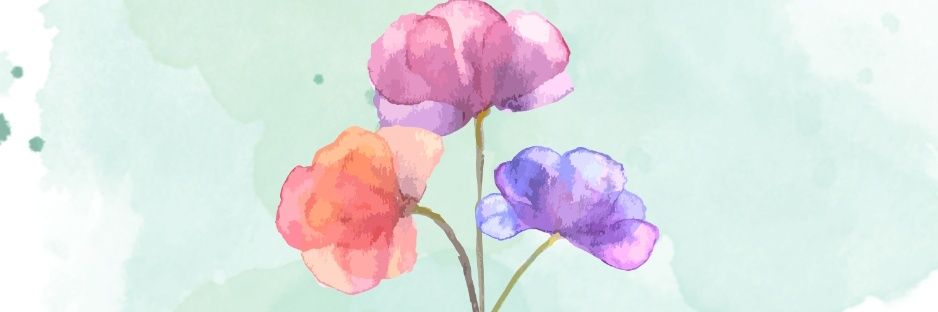 drdanesandal's profile banner image