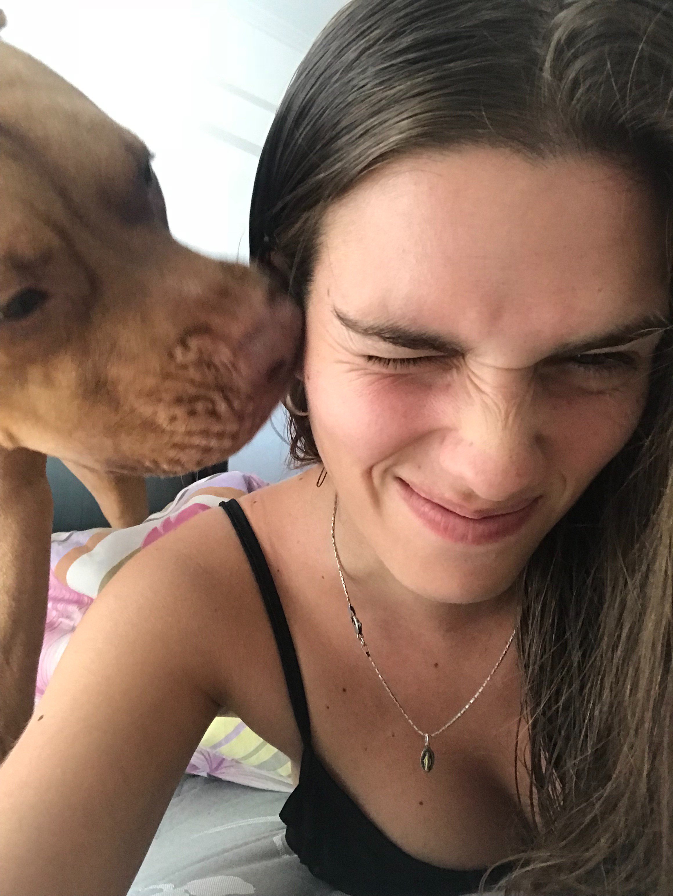 GarbezzaSol's profile banner image