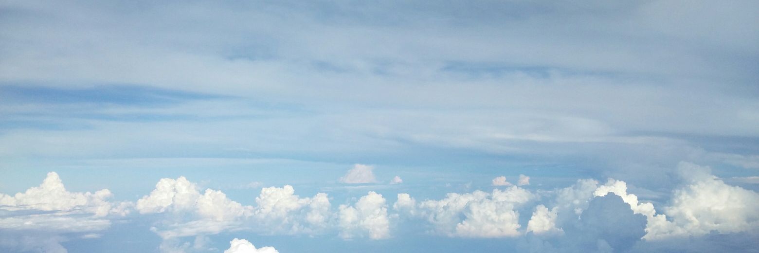 mickynanii's profile banner image