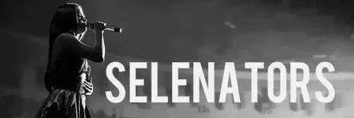 SelenatorD483's profile banner image