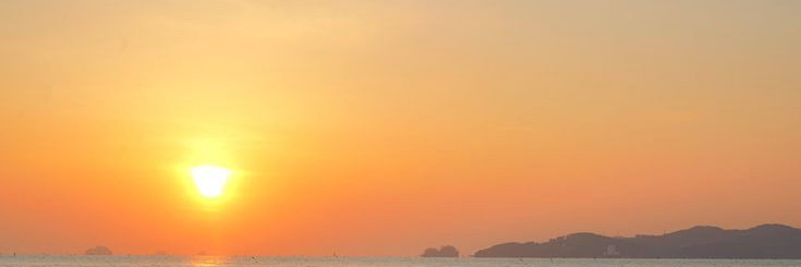 ✦ banner