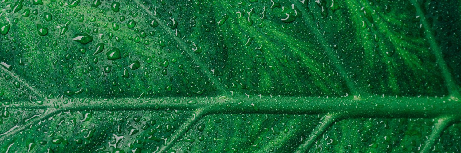 Edith Orenstein banner