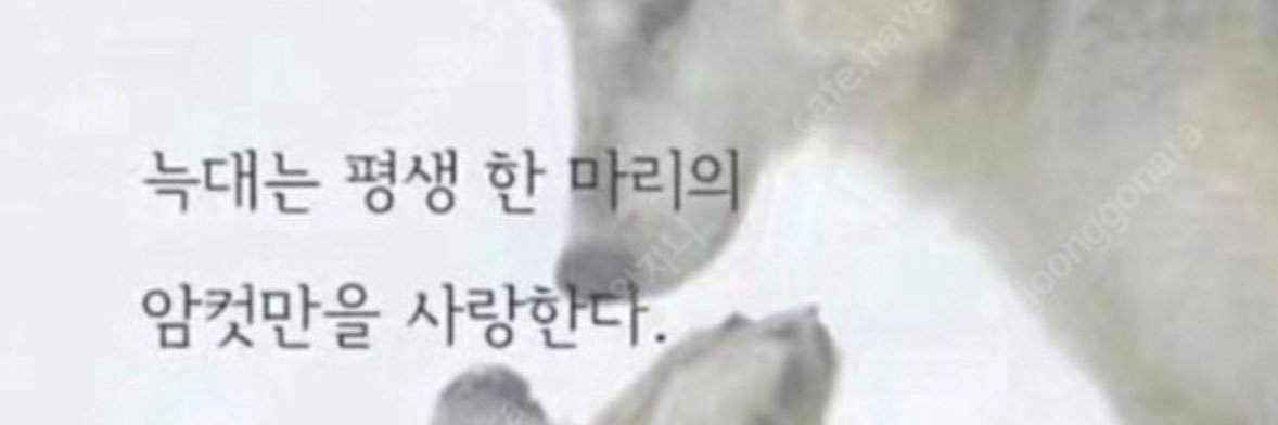 mimi_LJleft's profile banner image