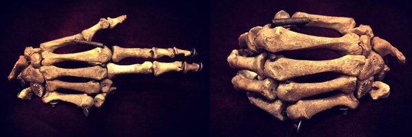 cunningman31 Profile Banner