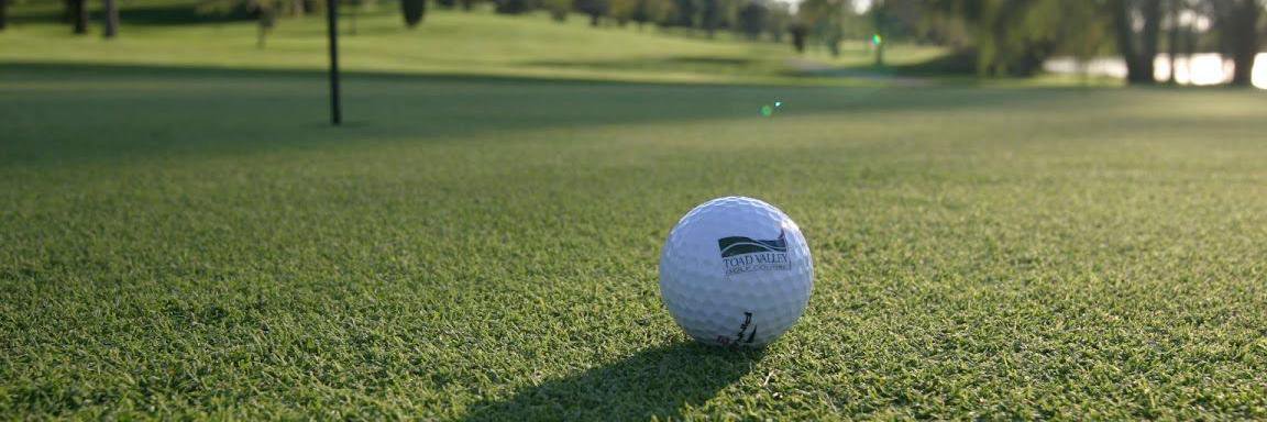 Toad Valley Golf banner