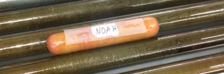 noah banner