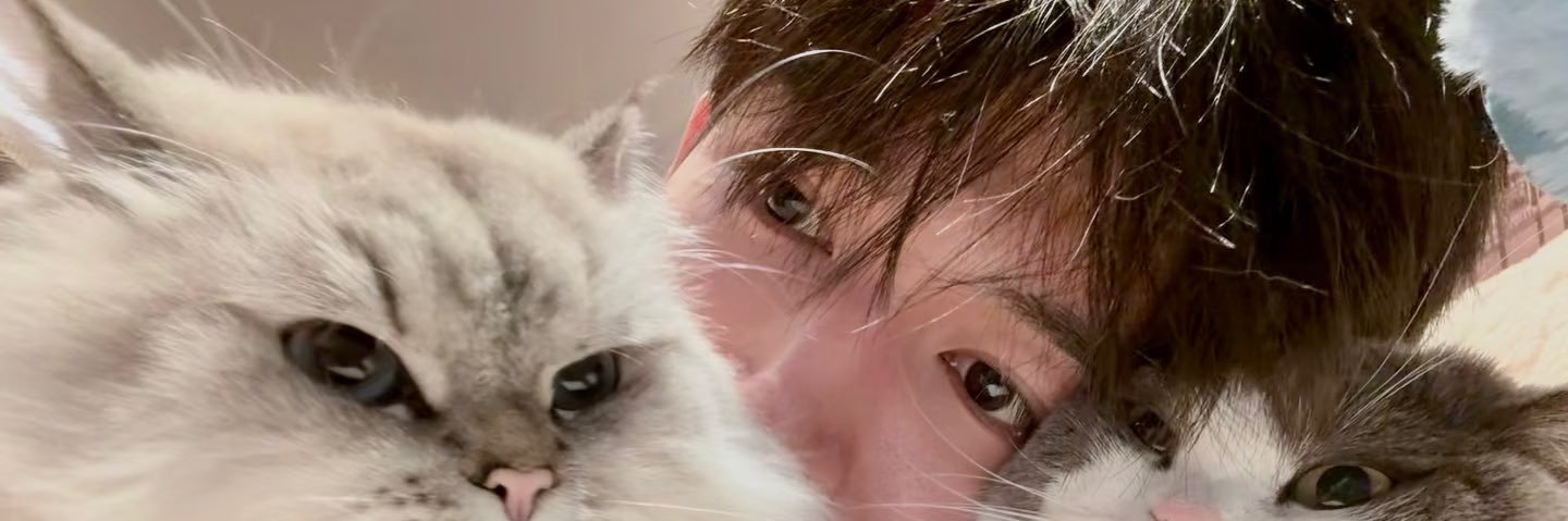 trrroo0's profile banner image