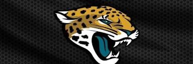 DUVALLL COUNTY 🐆 banner