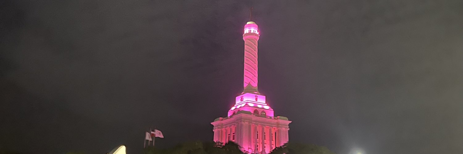 pamelaliz___'s profile banner image