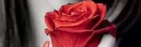 aboelizz1973's profile banner image