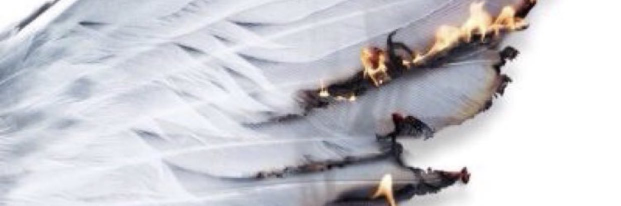 maría♡ banner