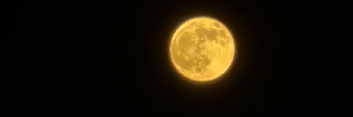 thelmalucio's profile banner image