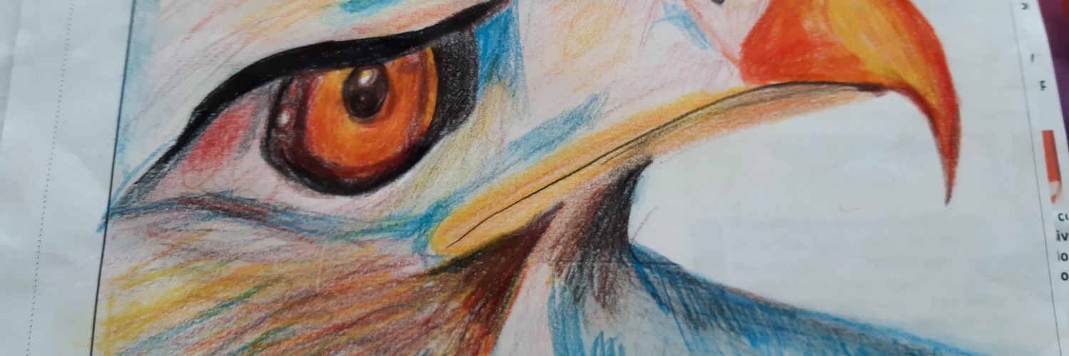creativoed's profile banner image