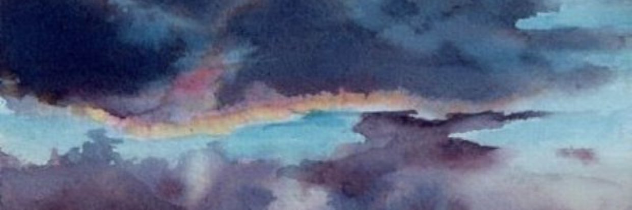 fersalgado338's profile banner image