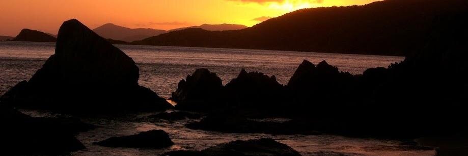 Horacio Daniel banner