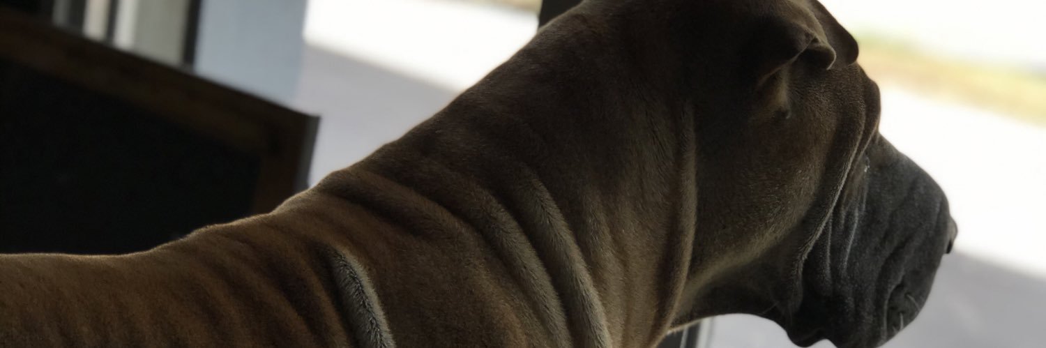 lvvvvo's profile banner image