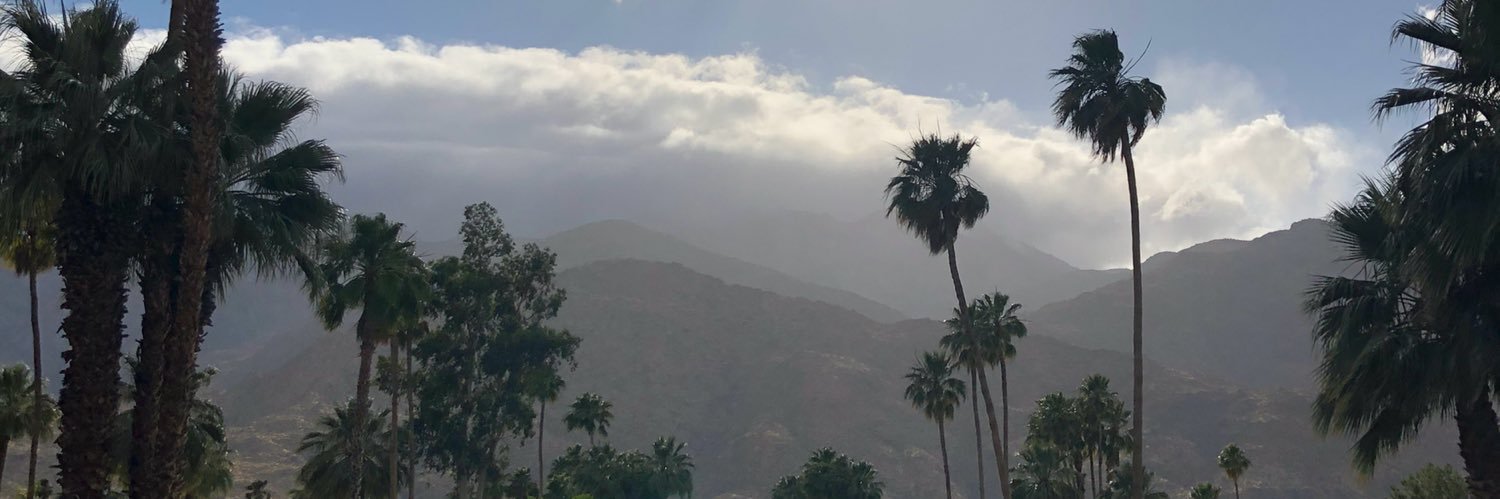 CarolineF11's profile banner image